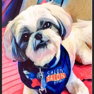 Meet your Posher, Rachel grace